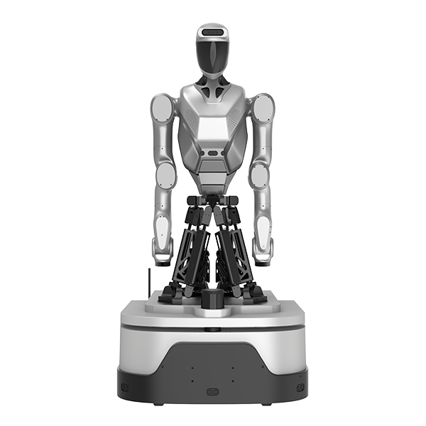 Embodied Intelligent Robots