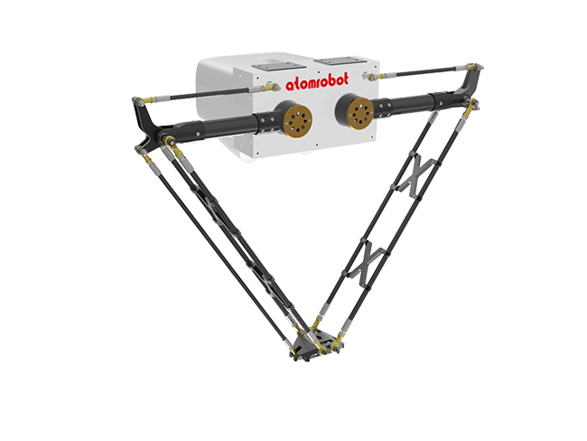 Embodied Intelligent Robot
